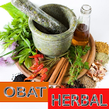 Obat Herbal Tradisional Alami icon