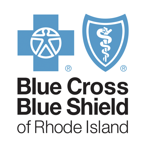 BlueSolutions Spending logo