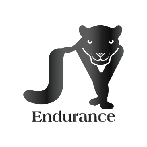 JY Endurance logo