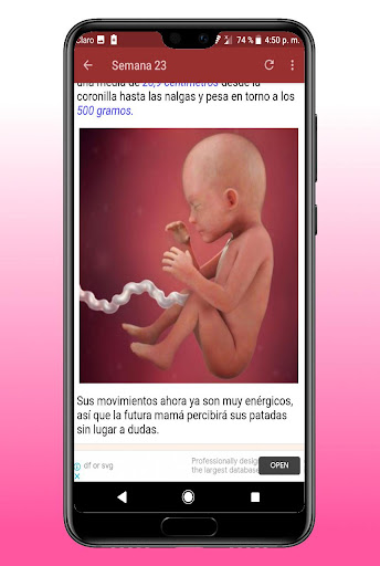 Tu Embarazo Semana a Semana Screen 2