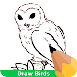 How To Draw Birds icon