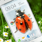 Ladybug in Phone Funny joke icon