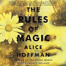 Ikonbilde The Rules of Magic: A Novel