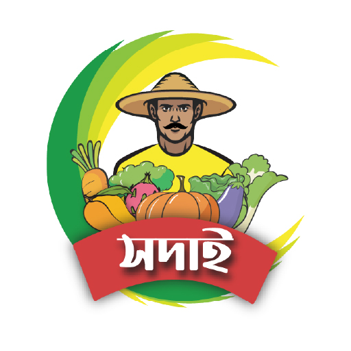 SADAI - সদাই logo