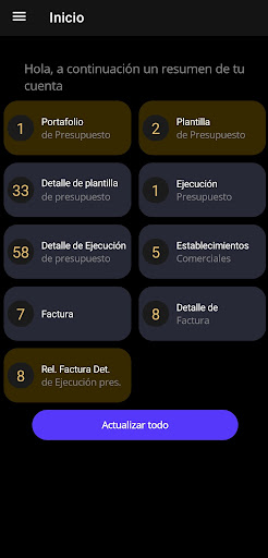 Presupuesto Screen 2