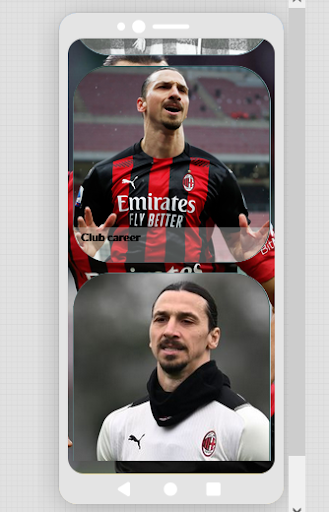 Zlatan Ibrahimovic Biography Screen 3