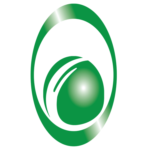 Champions Insurance logo