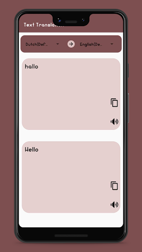 Dutch to English Translation