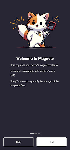 Detector de Metales Magneto Screen 2