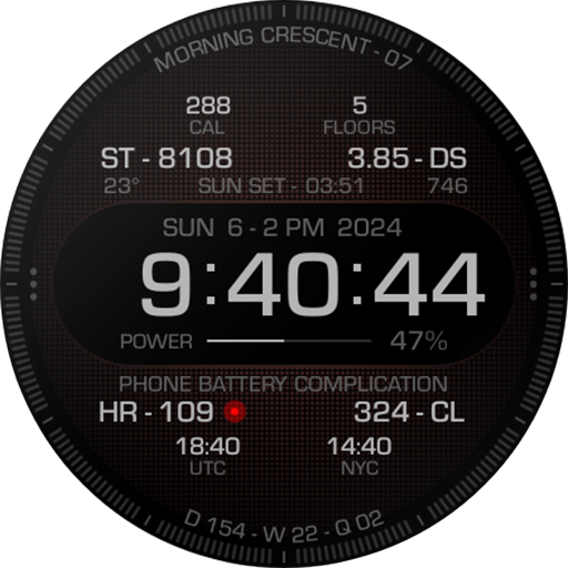 ENDURANCE DS logo