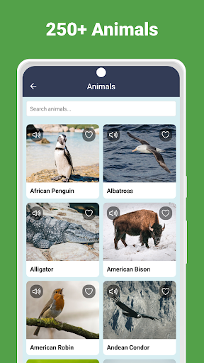 Animal Sounds screenshot 0