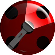 Ladybird ? Flashlight: Miracle torch