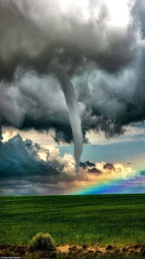 Android application Tornado wallpaper screenshort