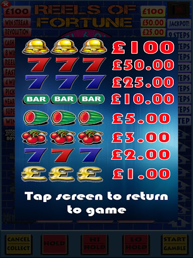 Reels of Fortune Fruit Machine