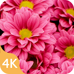 Flower Wallpaper 4K & Live