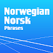 Learn Norwegian Phrasebook