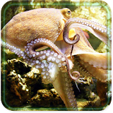 Sea Underwater Predators LWP icon