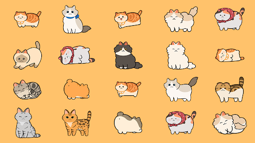 Aperçu de l'application