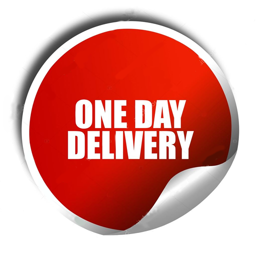 One Day Delivery logo