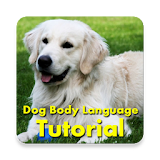 Dog Body Language Training icon