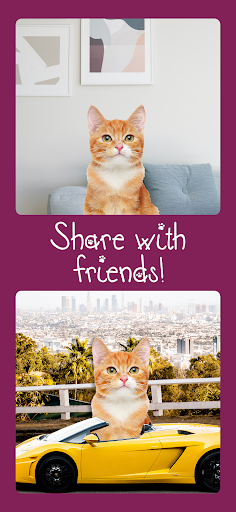 Cat Photo Editor Screen 2