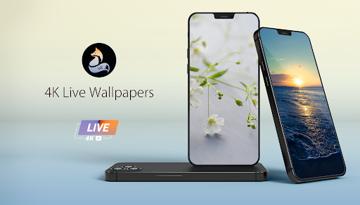 Live and 4K Wallpapers Screen 2