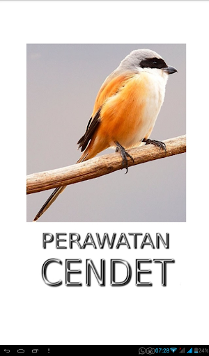 Android application Tips Perawatan Burung Cendet screenshort