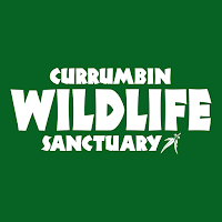 Currumbin Wildlife Sanctuary