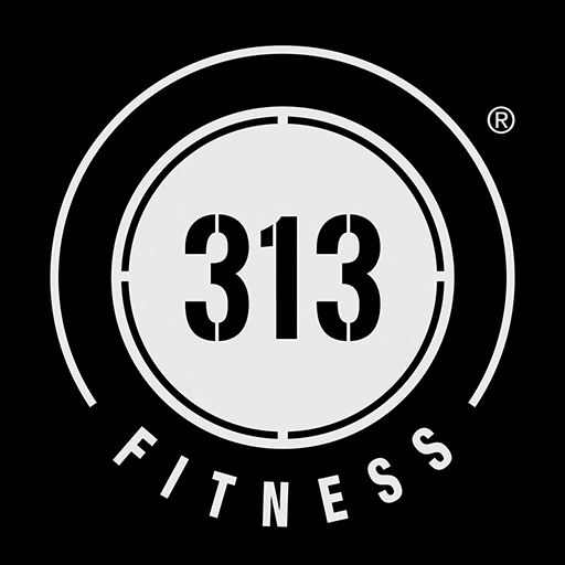 313 Fitness logo