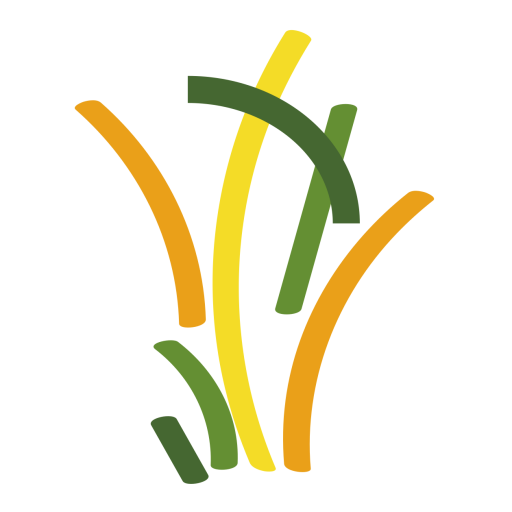 Growth eye logo