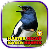 Master Kicau Kacer Kontes icon