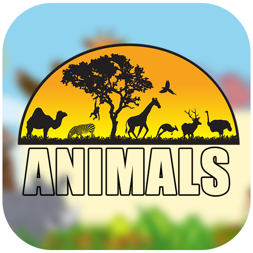 Wonderful Animals Wallpaper 4K Apps on Google Play