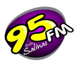 Rádio Salinas 95 FM icon