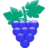 Grape (Vine-style recording!) icon