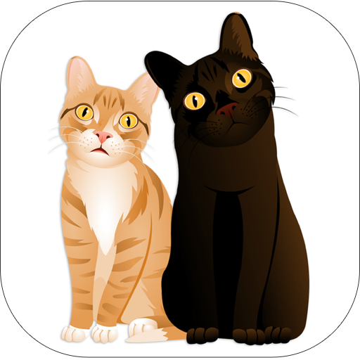 CamMoji by Cole and Marmalade