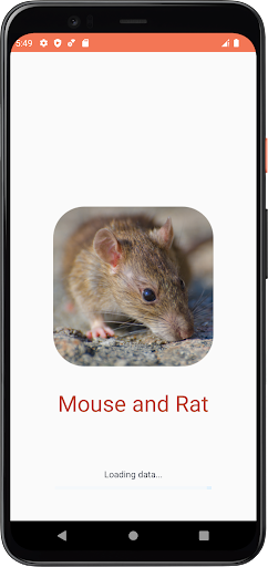 App-Vorschau