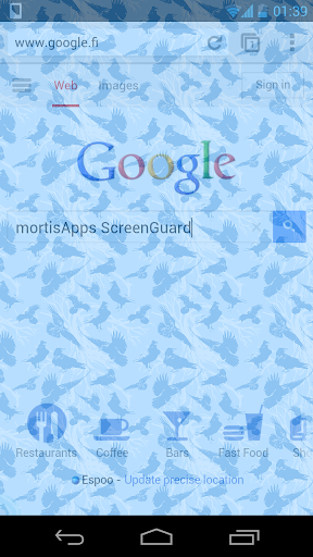 Screen Guard privacy screen