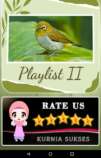 Suara Kicau Burung Pleci