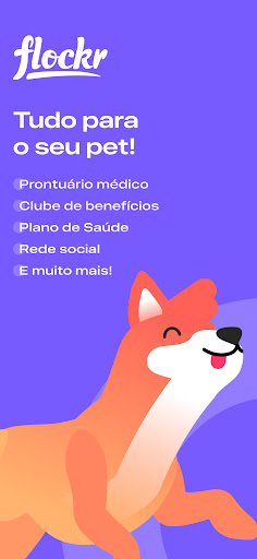 Visualização do aplicativo