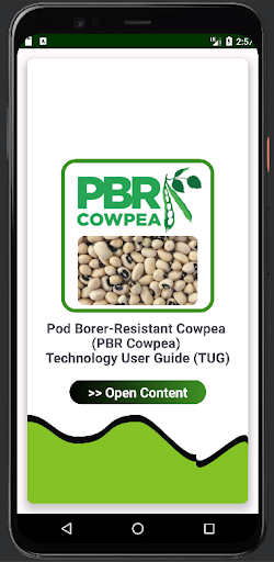 PBR Cowpea TUG
