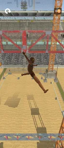 Flatout Ragdoll