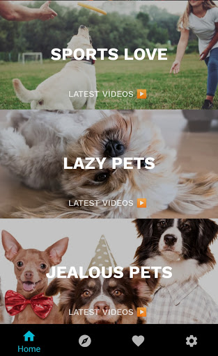 Download Funny Animal Videos App Cat Dog Memes Free for Android - Funny  Animal Videos App Cat Dog Memes APK Download 