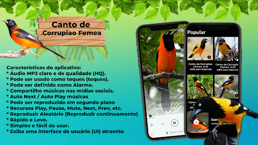 Android application Canto de Corrupiao Fêmea screenshort