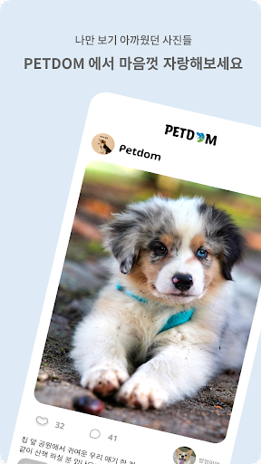 Android application 펫덤(Petdom) - 반려동물 매칭 커뮤티니 대표앱 screenshort