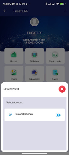 Finsat ERP Screen 2
