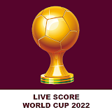 Qatar World Cup Score App 2022 icon