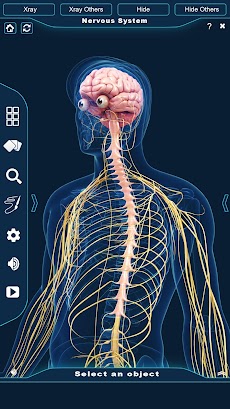 Nervous System Anatomy Pro.のおすすめ画像3