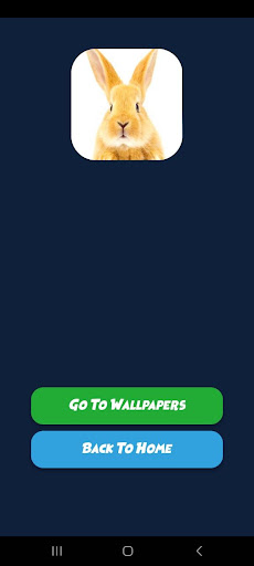 Android application wallpaper banny funy screenshort