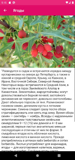 Ягоды Screen 3