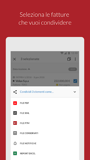 Aruba Fatturazione Elettronica Screen 3